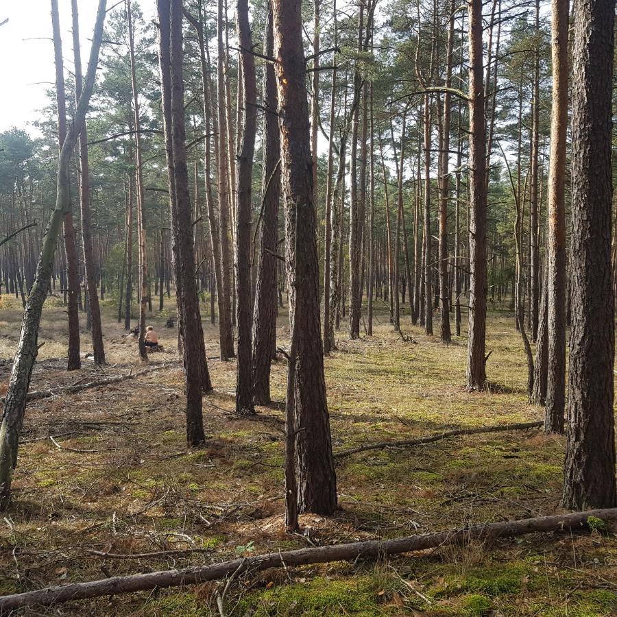 Ferienwohnung Omas Linde Brandenburg an der Havel Exterior foto